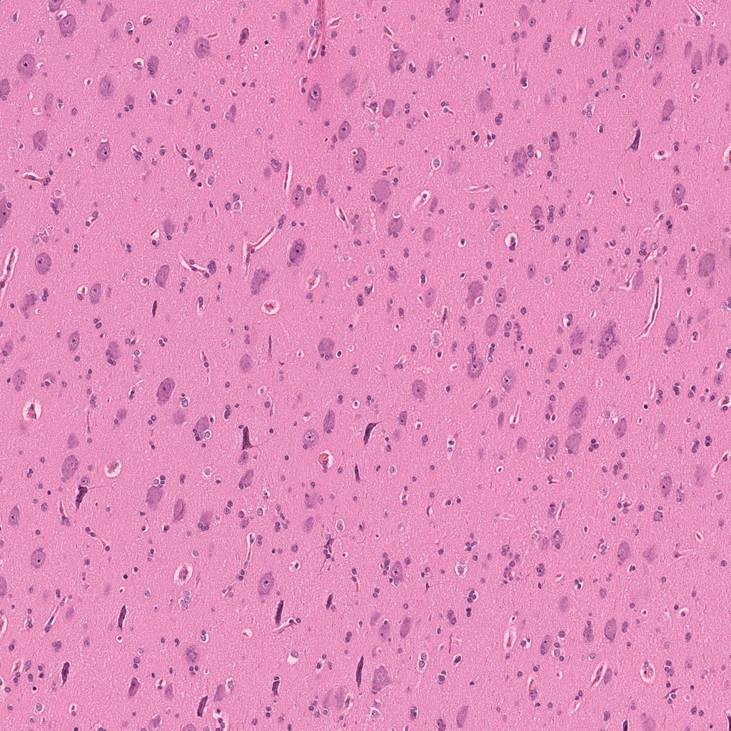 Sample Image 2