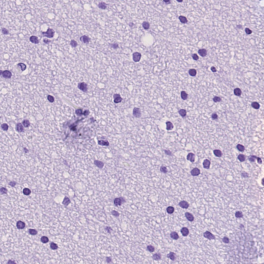 Sample Image 3